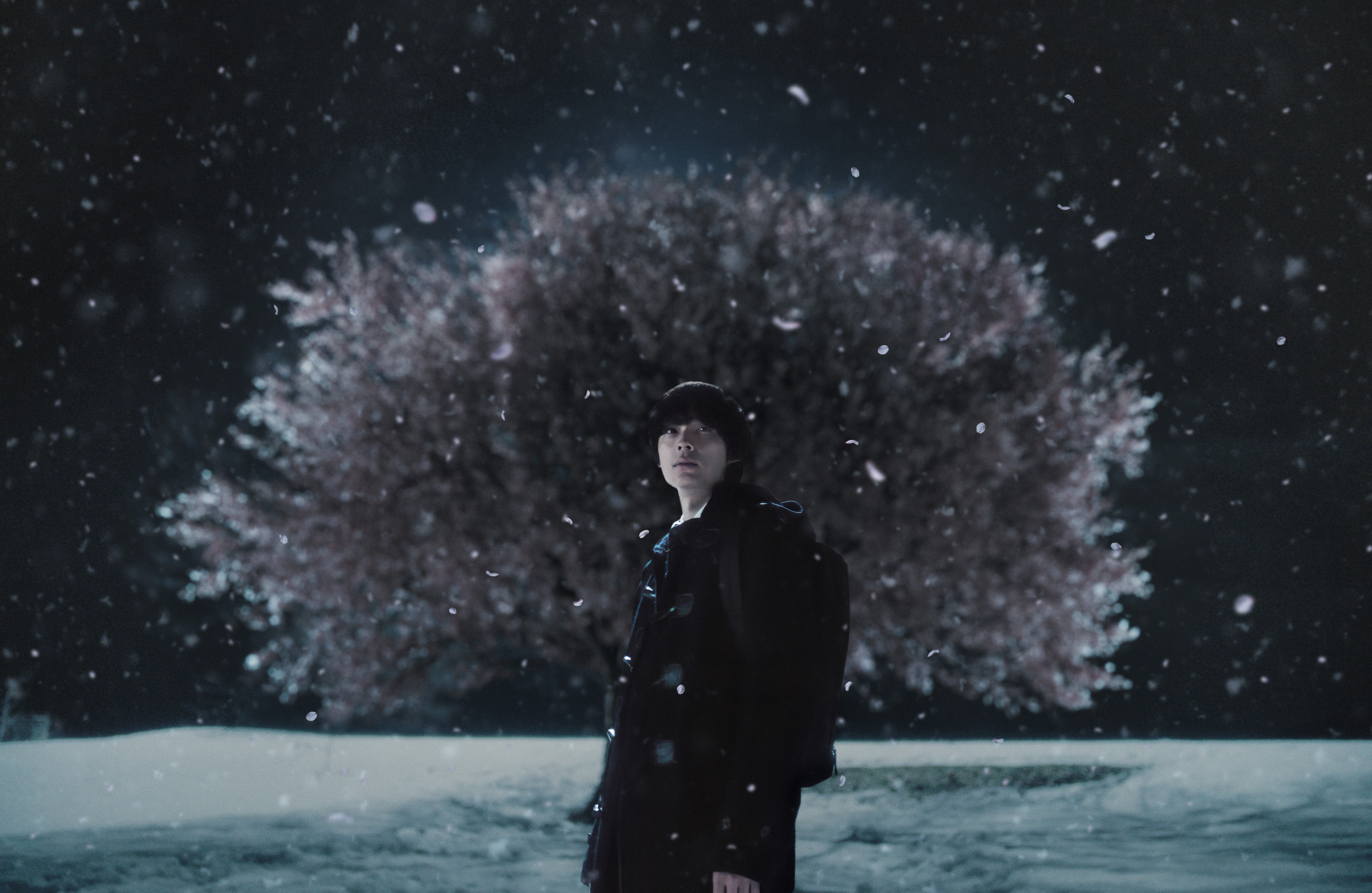 초속 5센티미터 포스터