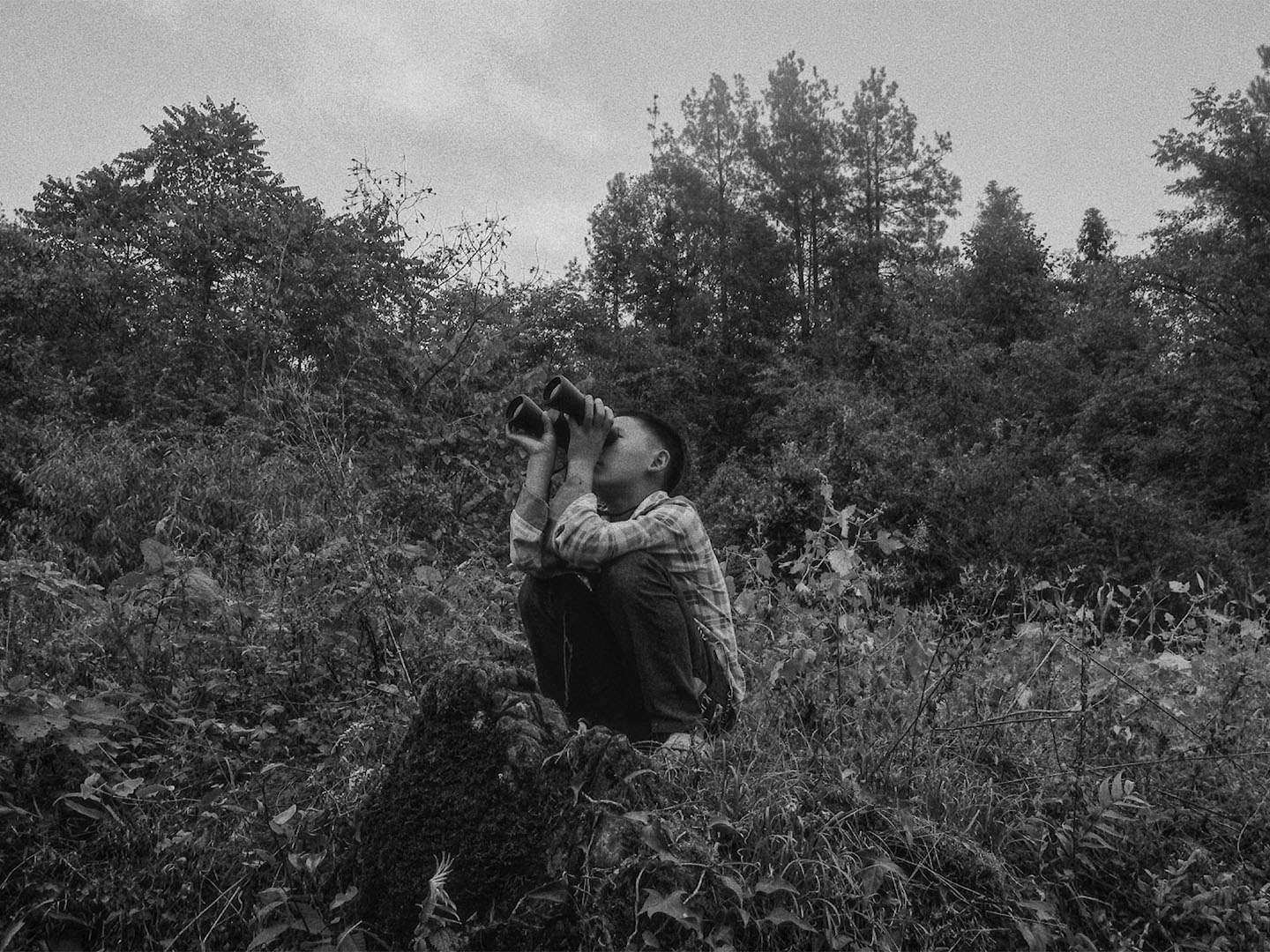 시인의 마음 poster