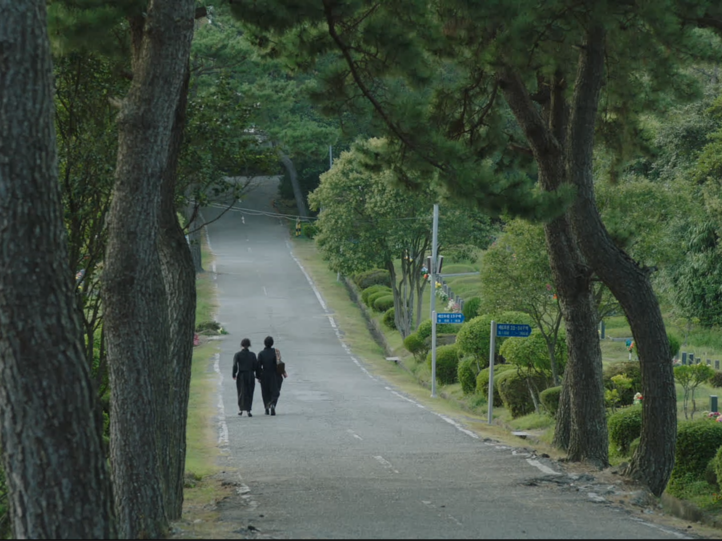 97 혜자, 표류기 poster