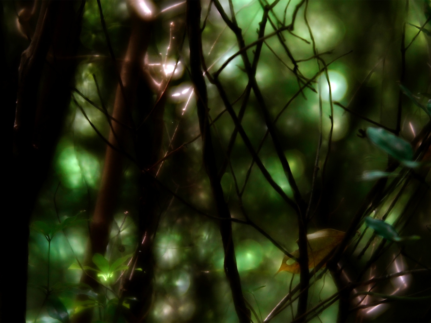 숨소리와 속삭임 poster