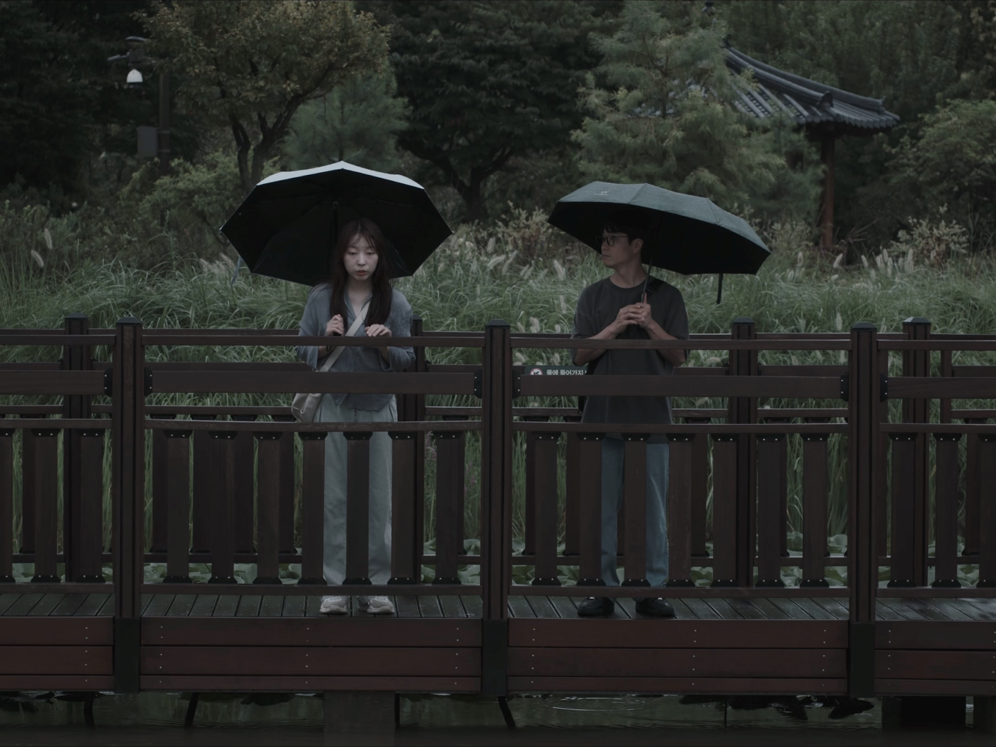 인류존속의 미스터리 그리고 두 연인 poster