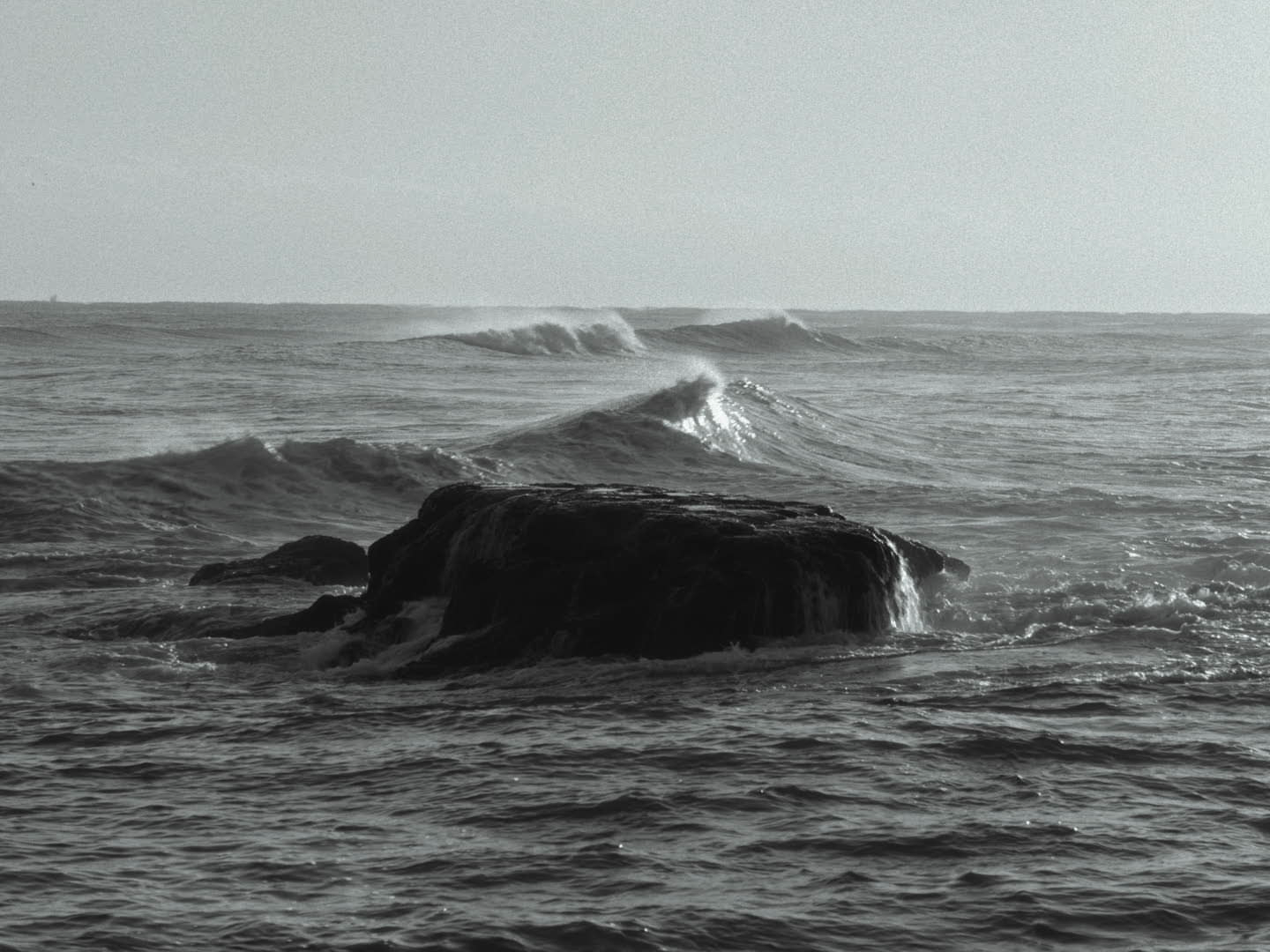 오른쪽 구석 위 poster