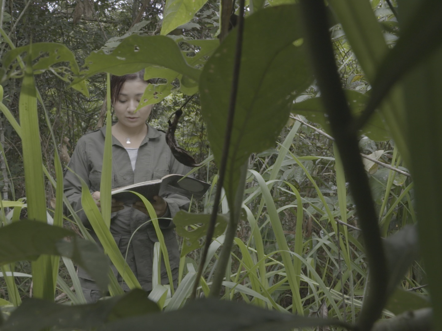 새로운 여명: 콜롬비아의 여성 게릴라들 poster