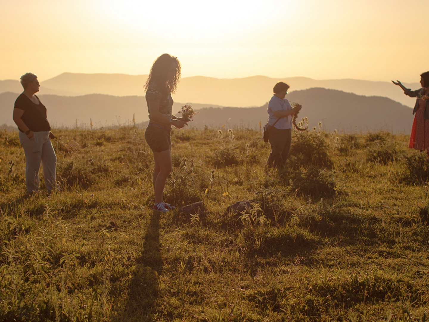 사라진 공화국 poster