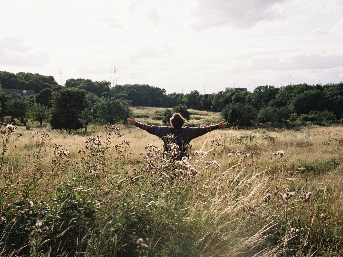 베일리와 버드 poster