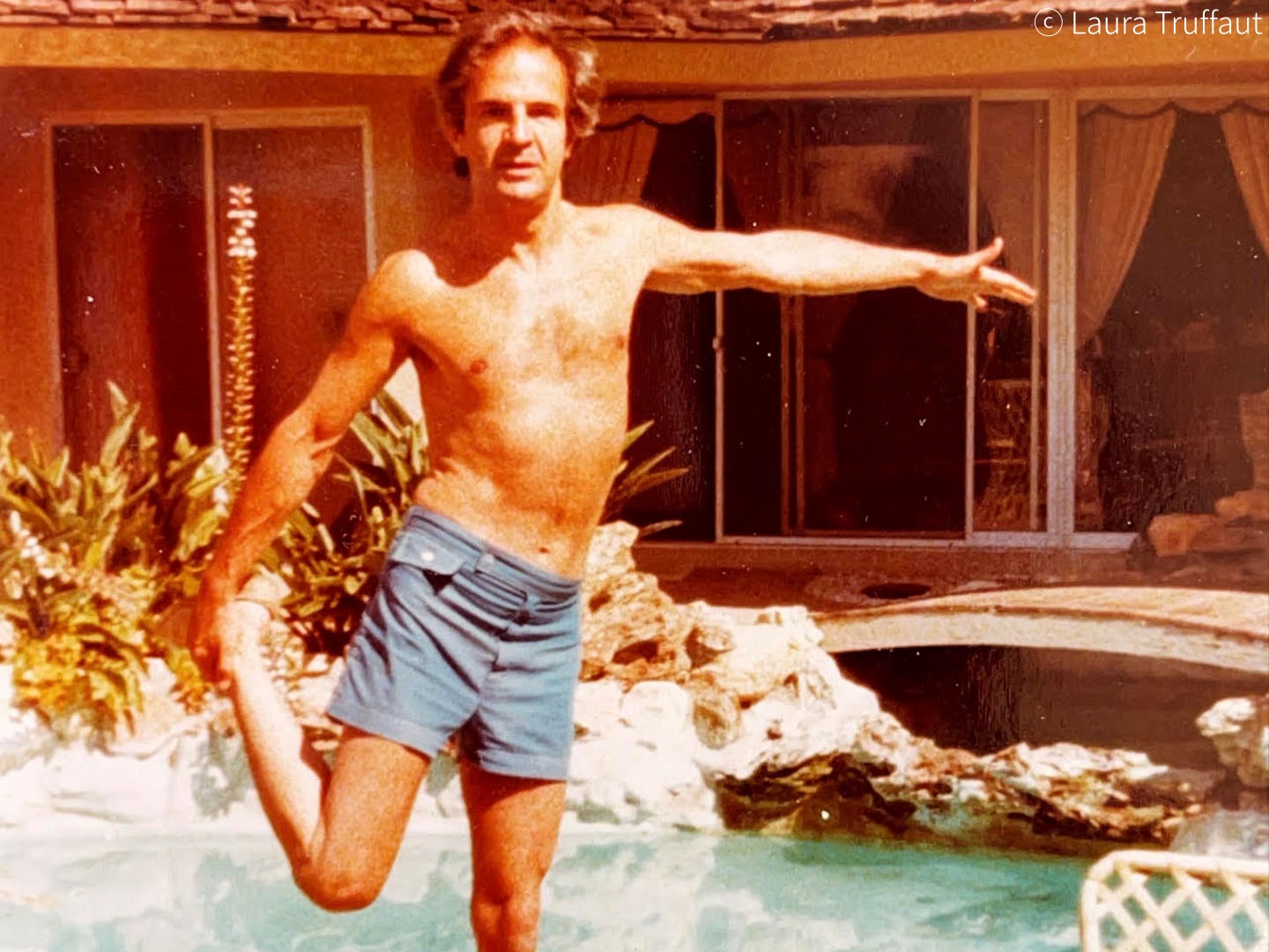 프랑수아 트뤼포, 한 편의 영화 같은 삶 poster