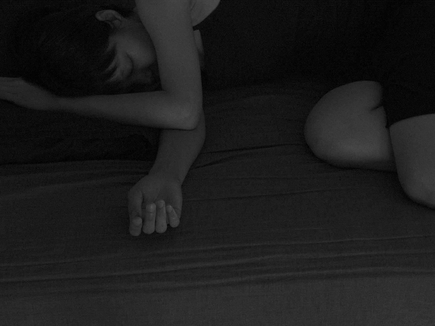 추락한 개 poster