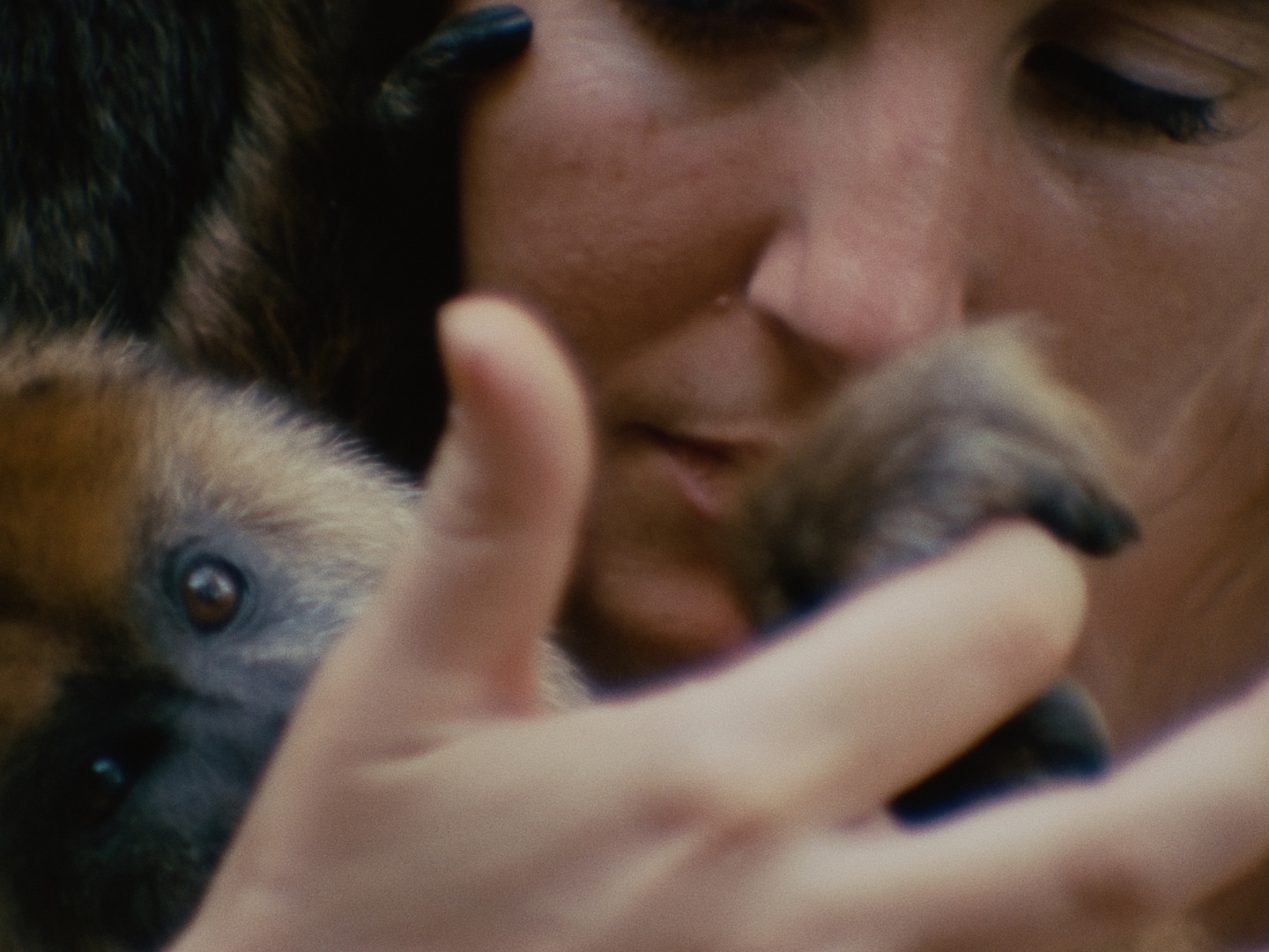 콜렉티브 모놀로그 poster