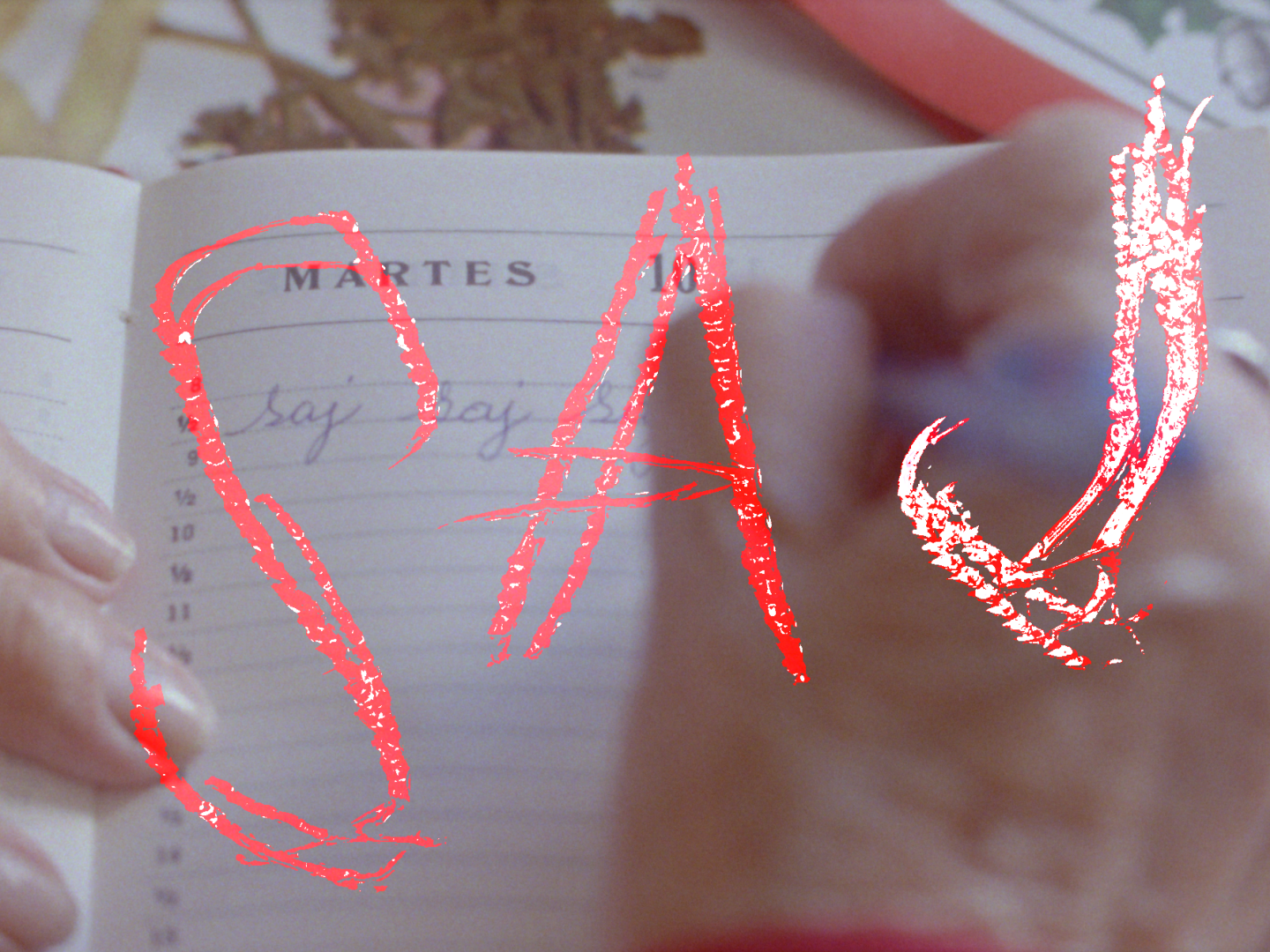 내장의 언어 poster