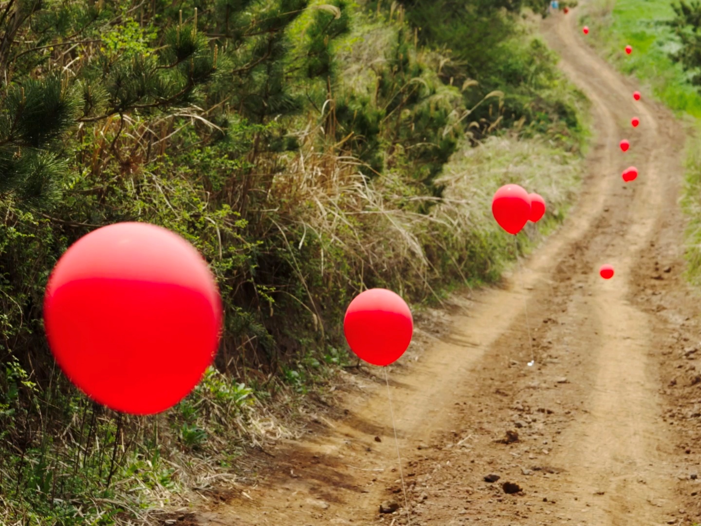 Ballroom (0&1) poster