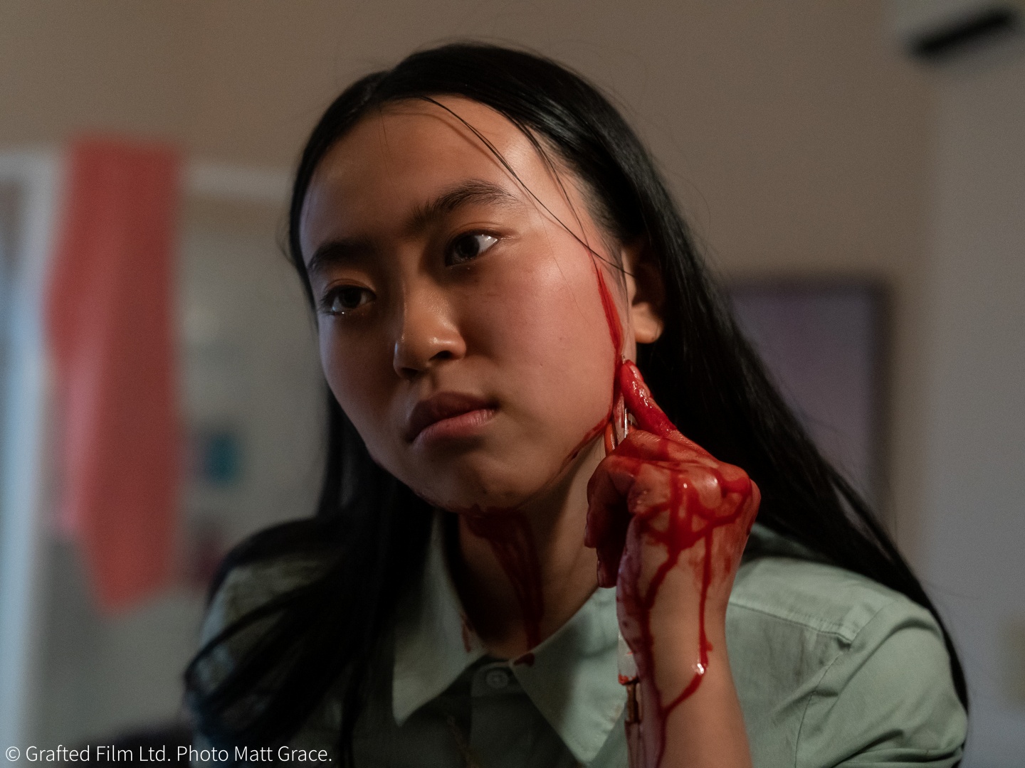 이식된 욕망 poster