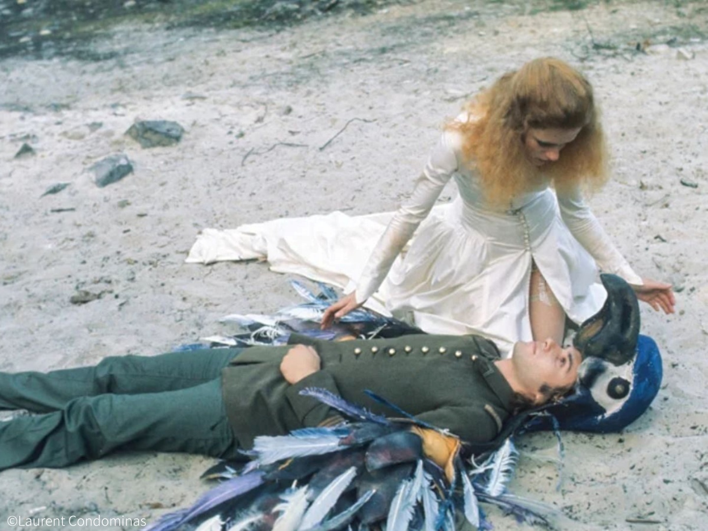 밤보다 긴 꿈 poster