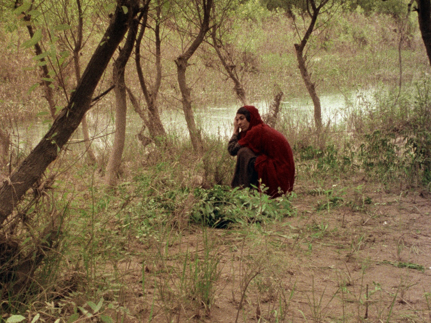 봉인된 땅 poster