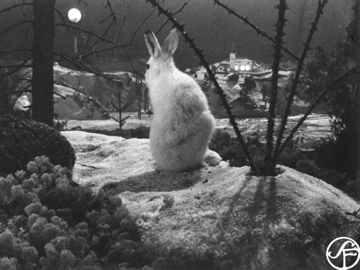 분열된 세계 poster