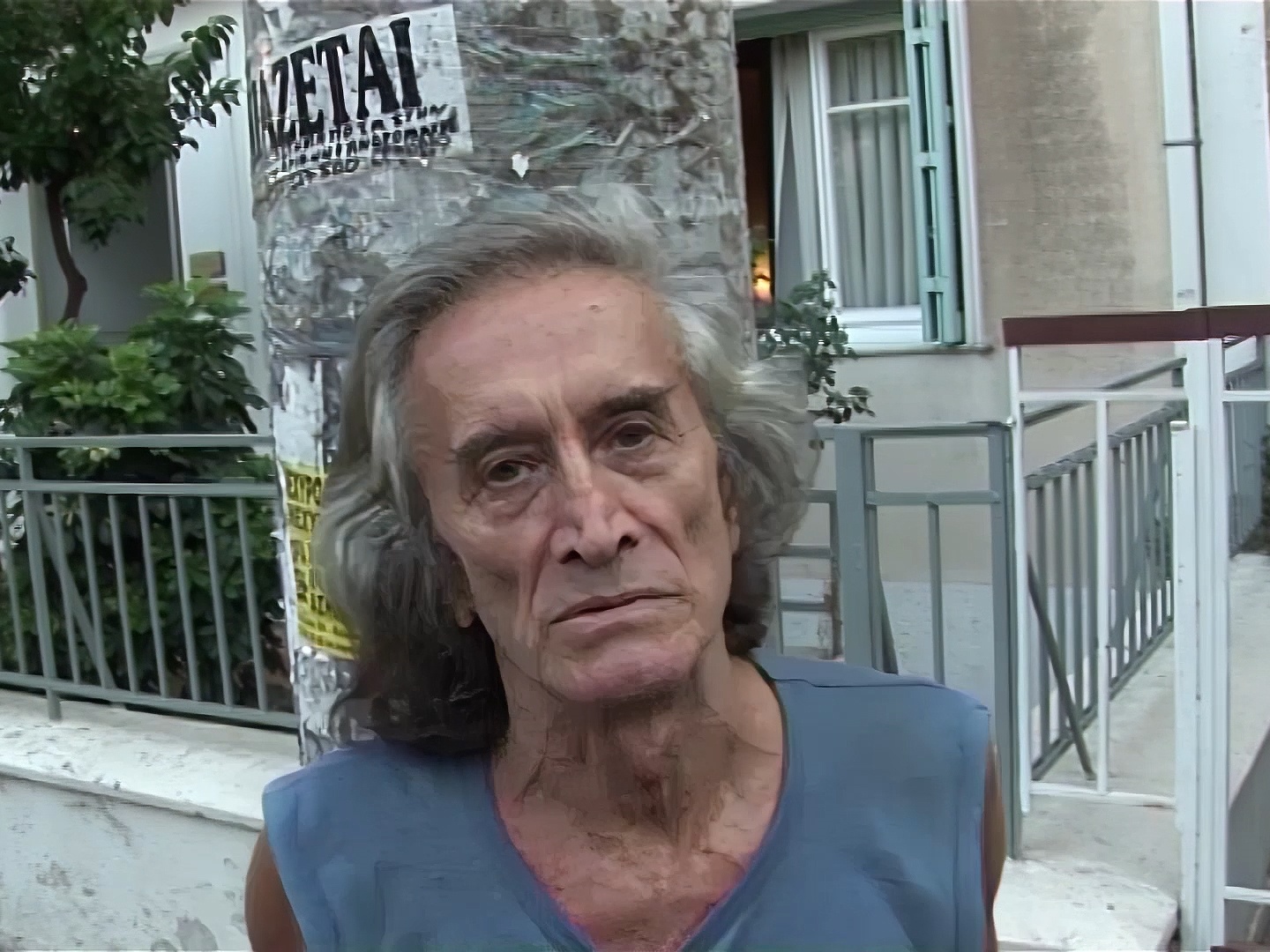 야생 속으로 poster