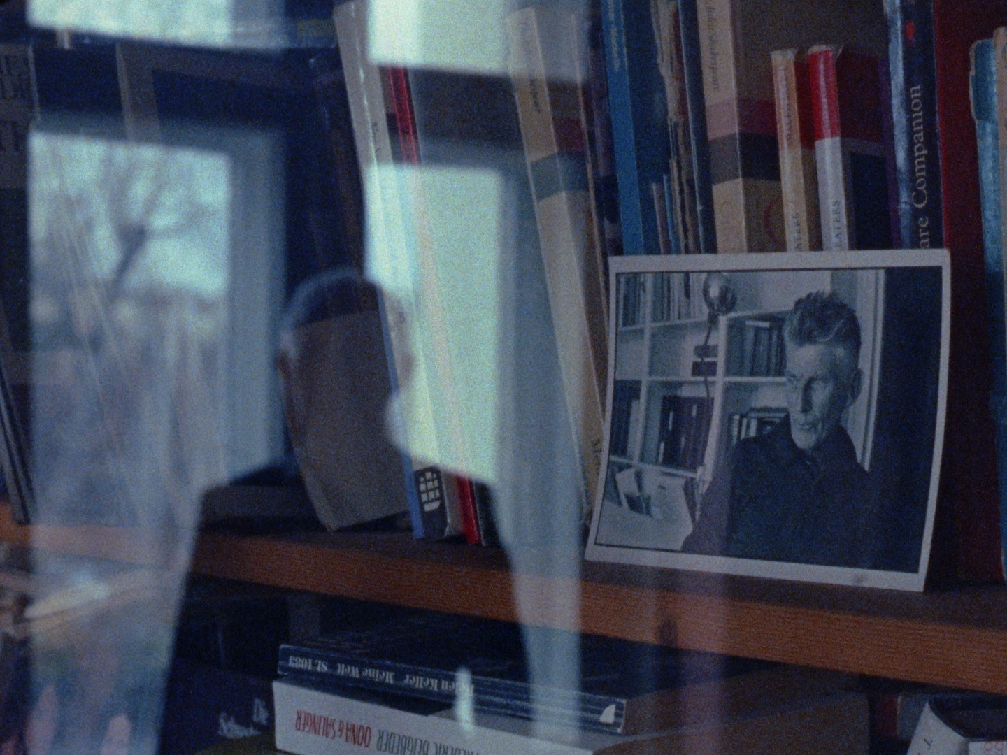 내가 넘어져도 내버려 둬 poster