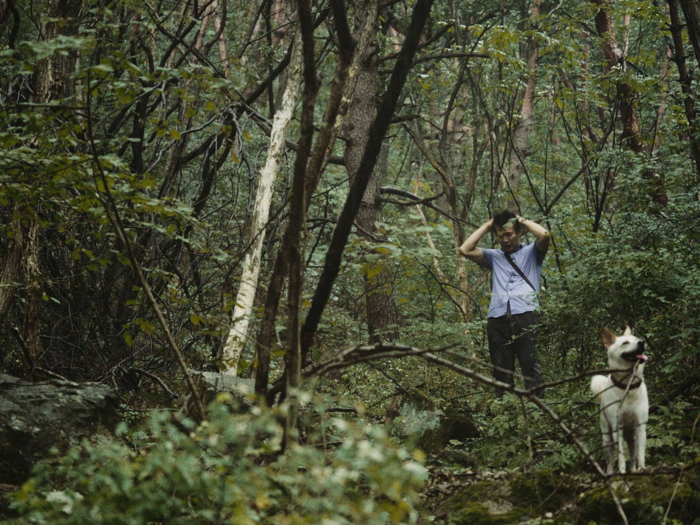 땅거미(가치봄영화) poster