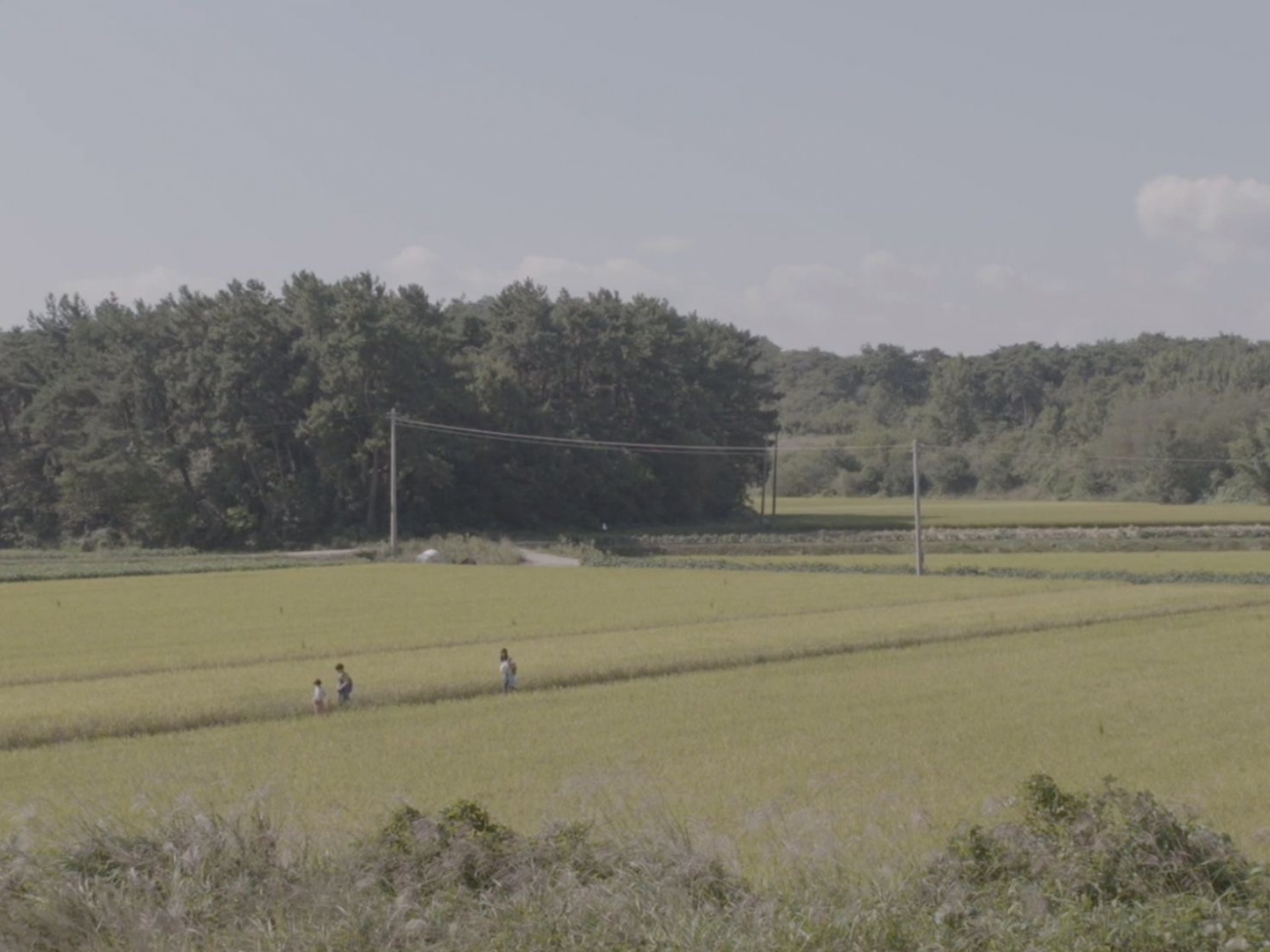 여름에 내린 눈(가치봄영화) poster