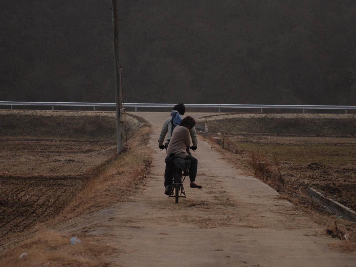 짐승의 끝 poster