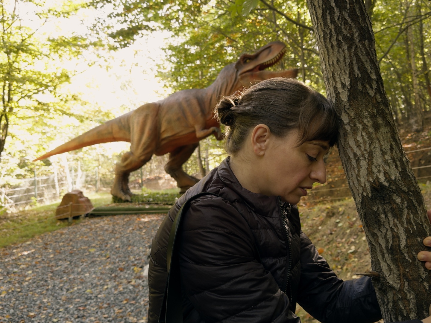 콘티넨탈 '25 poster