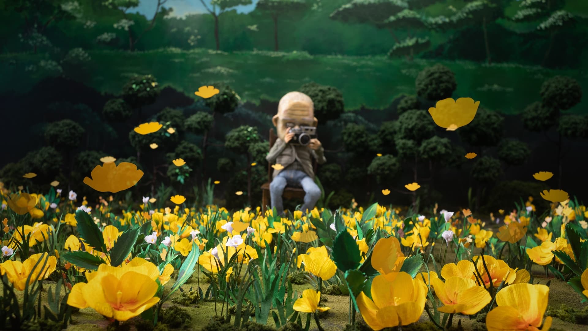 A Man Who Takes Pictures of Flowers