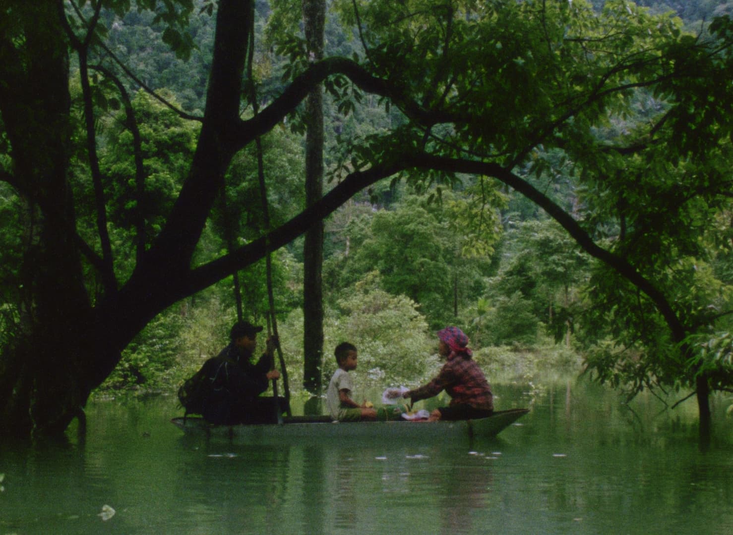 Hair, Paper, Water...