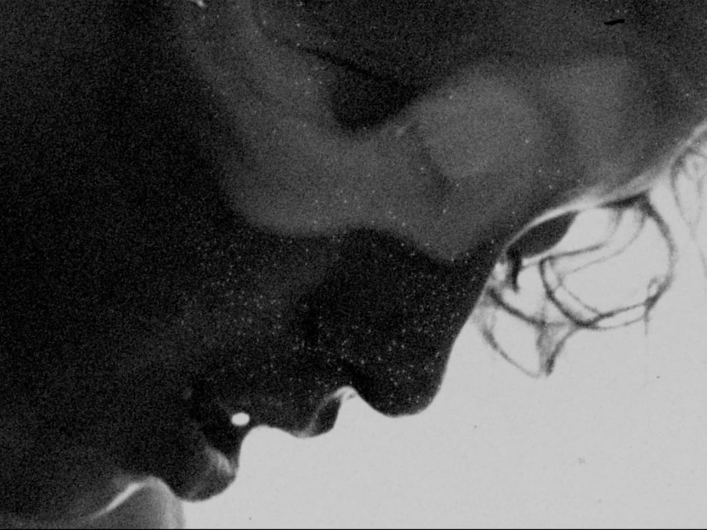 Aoquic iez in Mexico! Mexico will no longer exist!