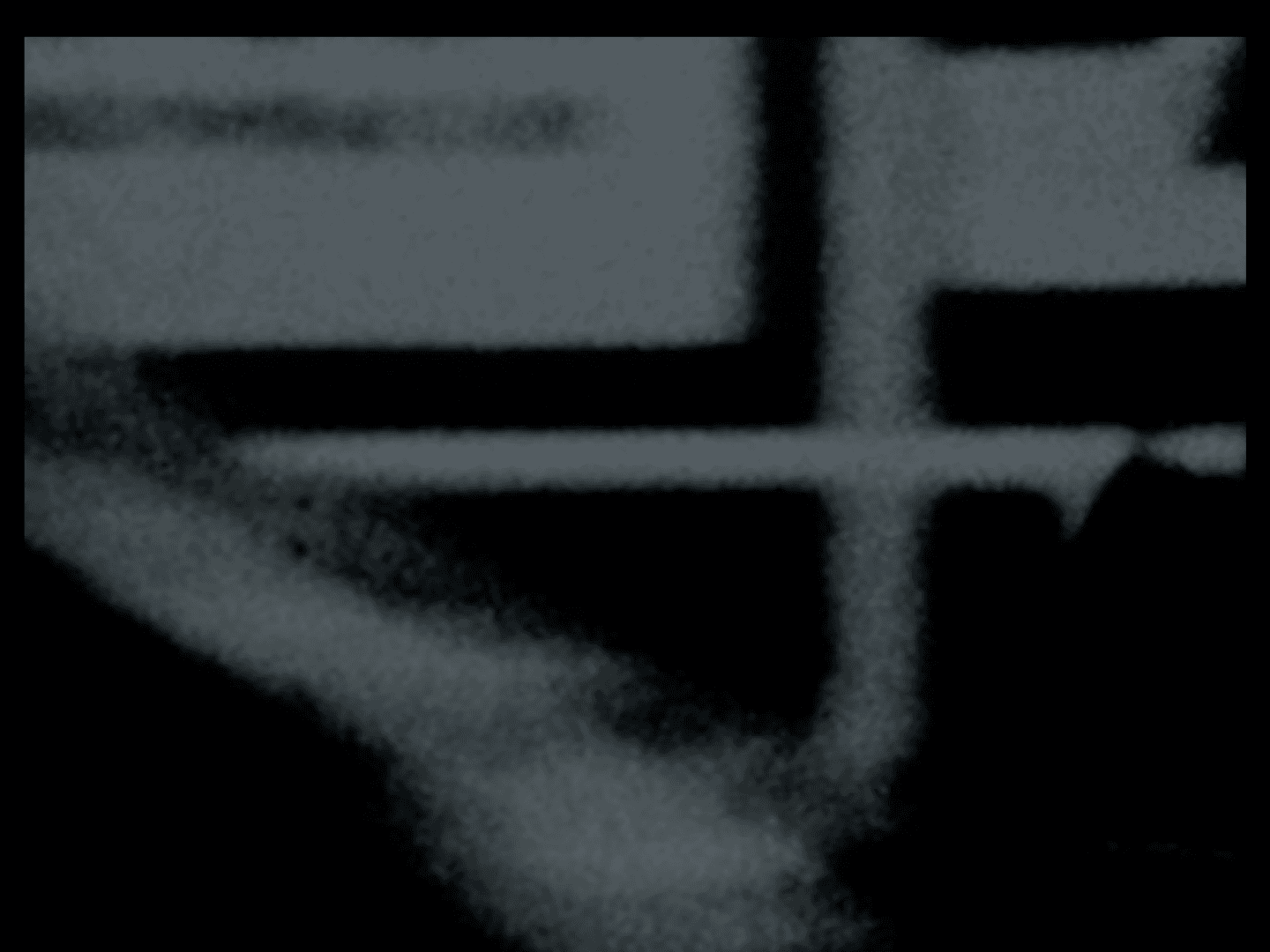 Landscape in the afternoon