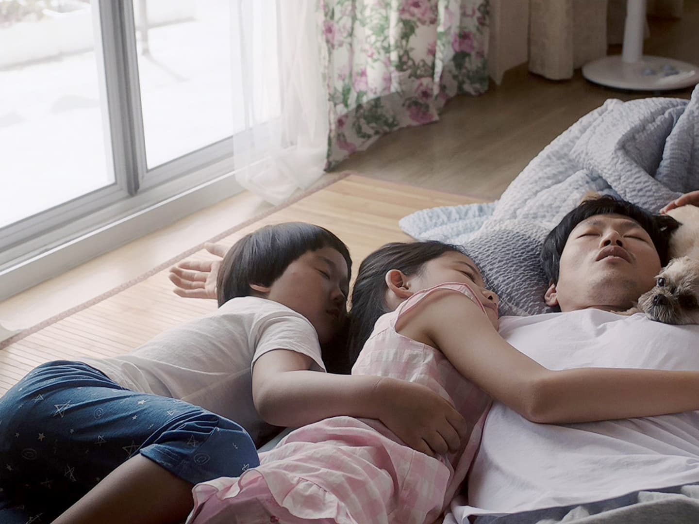 Bori(Sign language Film+Audio Description)